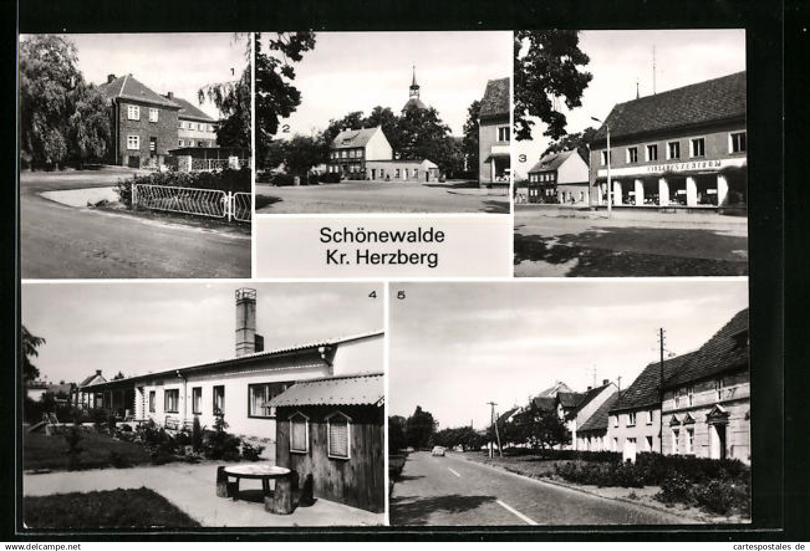 AK Schönewalde /Kr. Herzberg, Kinderkrippe Pitti, Ernst-Thälmann-Strasse, Einkaufszentrum