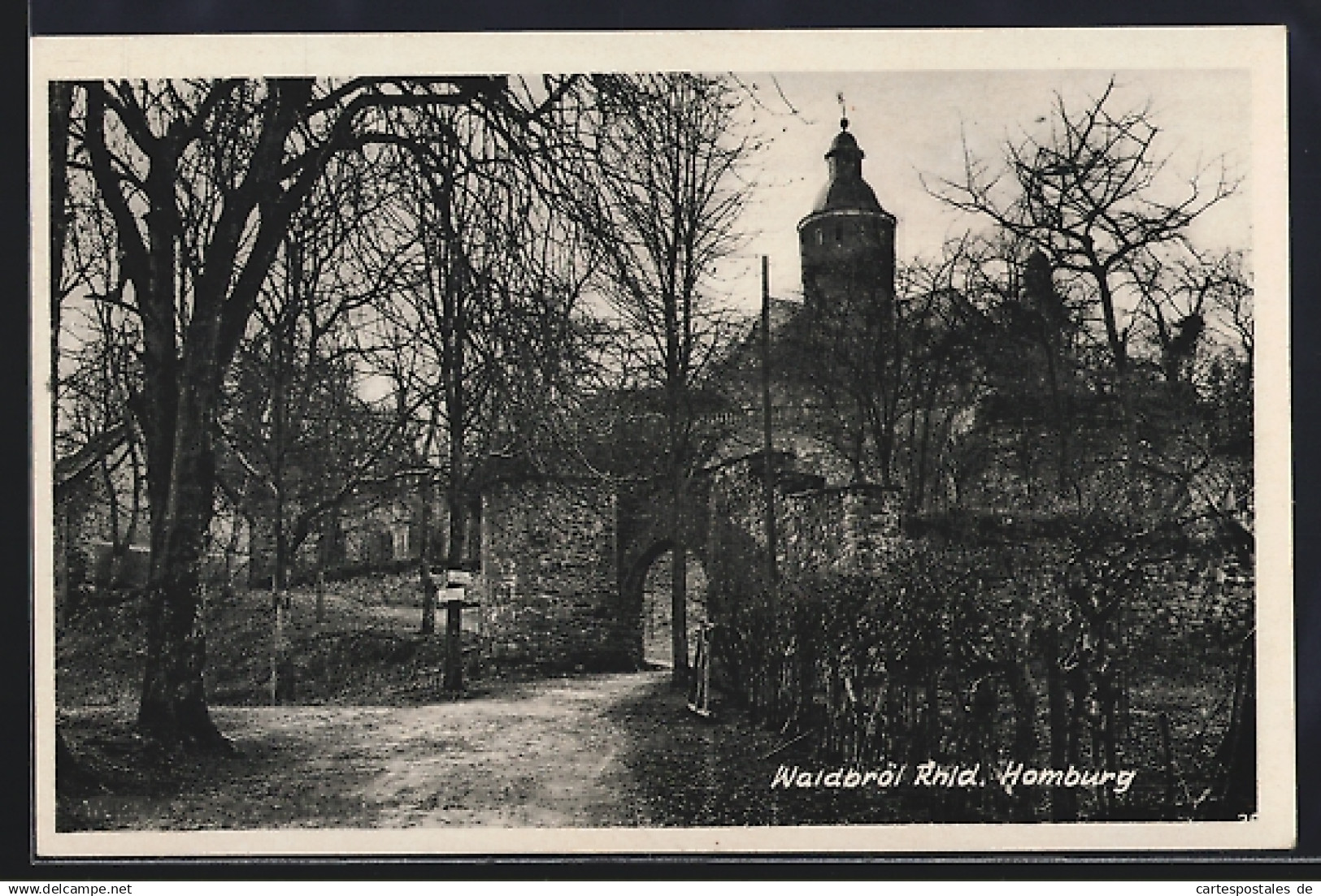 AK Waldbröl /Rhld., Schloss Homburg