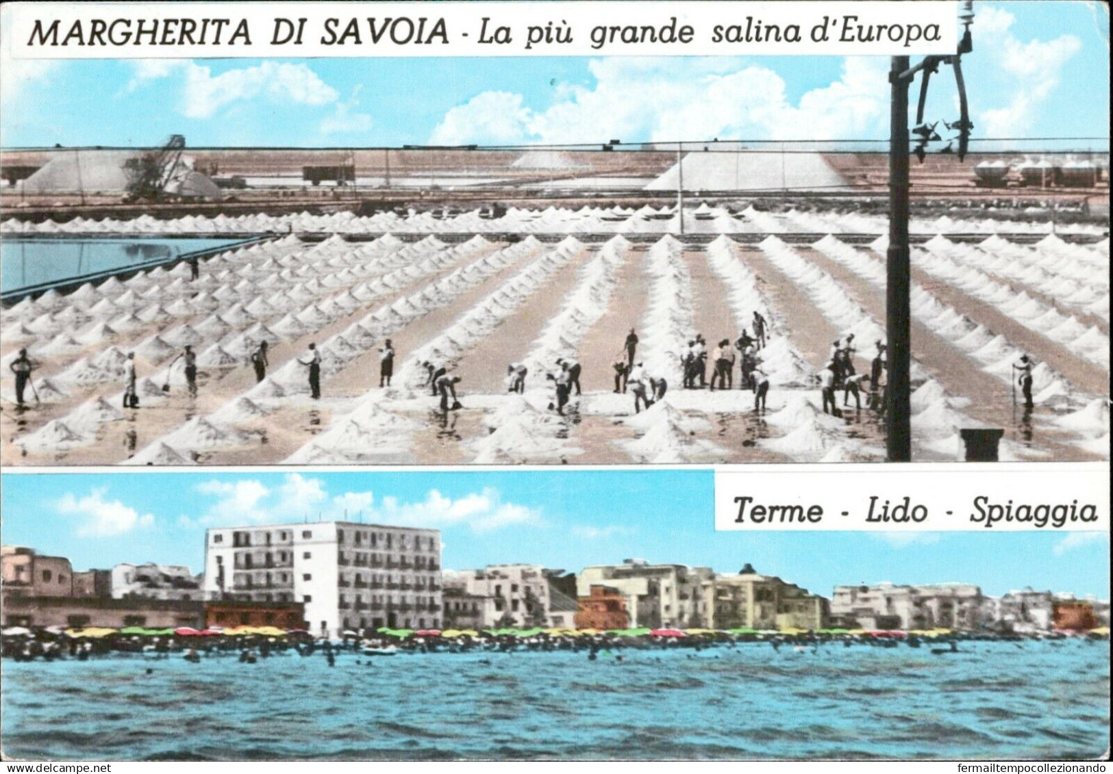 al361 cartolina margherita di savoia la piu' grande salina d'europa foggia