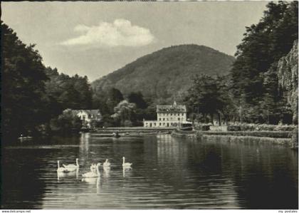 70104275 Bergzabern Bad Bergzabern Weiher Bad Bergzabern