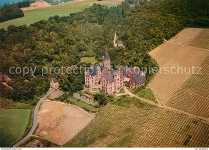 73239046 Bad Hoenningen Fliegeraufnahme Schloss  Bad Hoenningen