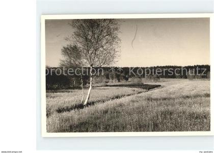 71933503 Bad Schussenried Moorlandschaft  Bad Schussenried