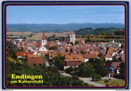 50702553 - Endingen am Kaiserstuhl