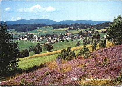 72512930 Saig Schwarzwald Hochschwarzwald Panorama