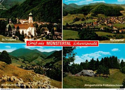 73929616 Muenstertal  Schwarzwald St Trudpert Belchenblick Muenstertal Almgastst