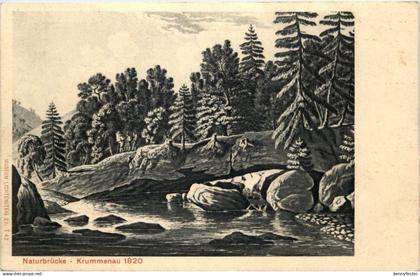 Naturbrücke Krummenau 1820