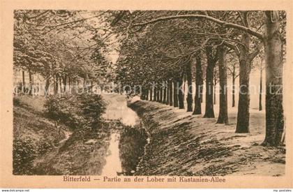 43362593 Bitterfeld Kastanien Allee Bitterfeld