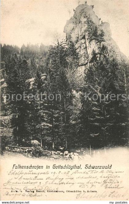 43505371 Buehlertal Falkenschrofen Gottschlaegtal Buehlertal