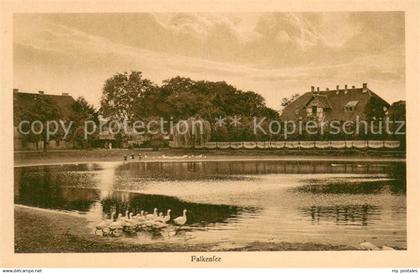 73697177 Falkensee Uferpartie am See Wasservoegel Falkensee