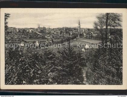 Falkenstein Vogtland Panorama