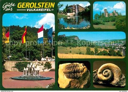 72938602 Gerolstein