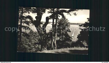 Goyatz Blick auf kleinen Schwielochsee