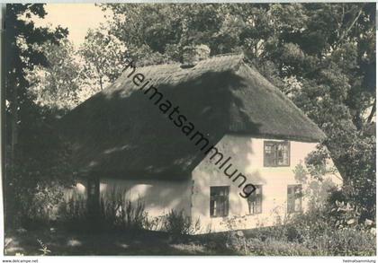 Hiddensee - Foto-AK - Verlag Phot. Ebel-Hiddensee - keine AK-Einteilung