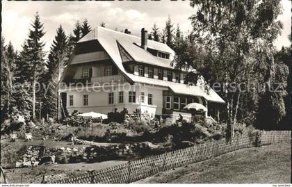 71995987 Hinterzarten Pension Hochschwarzwald  Hinterzarten