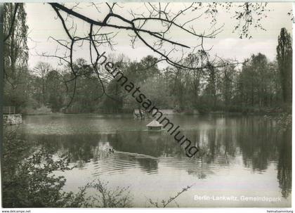 Berlin-Lankwitz - Gemeindepark - Foto-Ansichtskarte - Verlag Kl.-P. Heyn Berlin