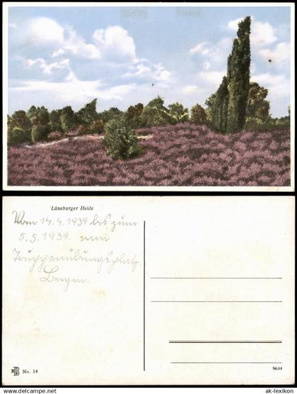 Ansichtskarte .Niedersachsen Lüneburger Heide, Blüte 1928