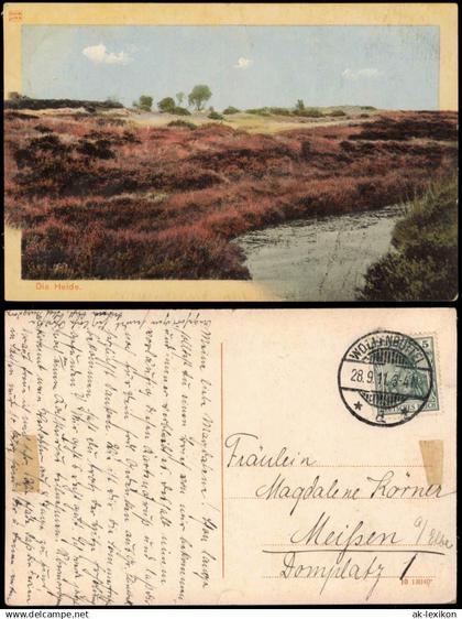 Ansichtskarte .Niedersachsen Lüneburger Heide DIORAMA-Karte 1911