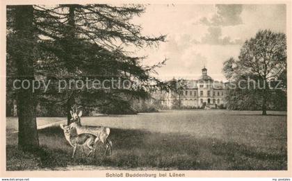 73690010 Luenen Schloss Buddenburg Rehe Parkanlagen Kuenstlerkarte Luenen