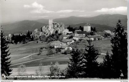 70660150 Regen Regen Burgruine Weissenstein * Regen