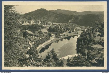 Ziegenrück an der Saale Gesamtansicht, gelaufen 1954 (AK689)