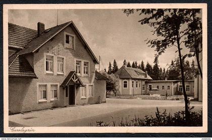 B3878 - Carolagrün Schönheide Schnarrtanne - Franz Landgraf