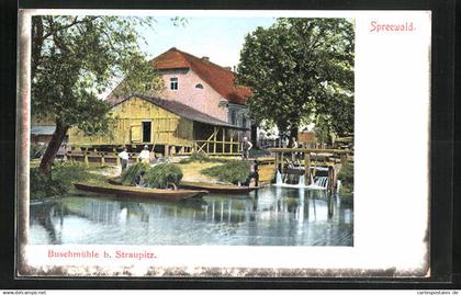 AK Straupitz /Spreewald, Buschmühle