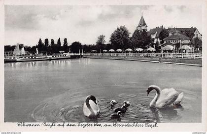 Deutschland - TEGEL Reinickendorf (Berlin) Schwanen Idylle auf dem tegeler See, am Strandschloss Tegel