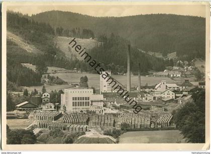 Neustadt - Holzzellstoff- und Papierfabrik Max Egon Fürst zu Fürstenberg - Foto-Ansichtskarte