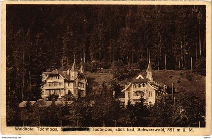 CPA AK Todtmoos - Waldhotel Todtmoos GERMANY (1030019)