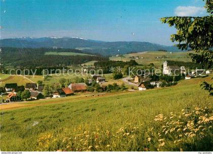 42692603 Todtnau Panorama Todtnau