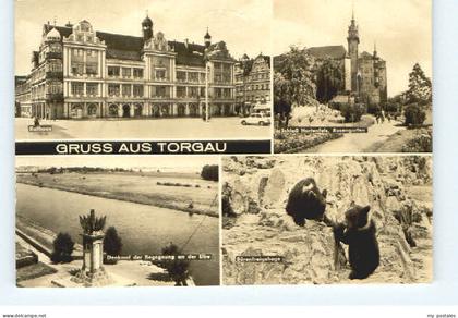 70057124 Torgau Torgau  Torgau