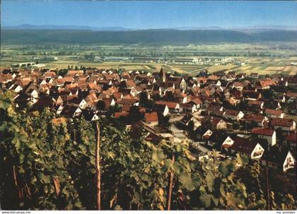 71361613 Hirschau Tuebingen Panorama