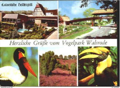 70112433 Walsrode Lueneburger Heide Walsrode Vogelpark x 1981