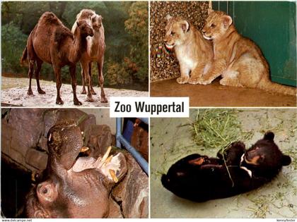 Wuppertal - Zoo