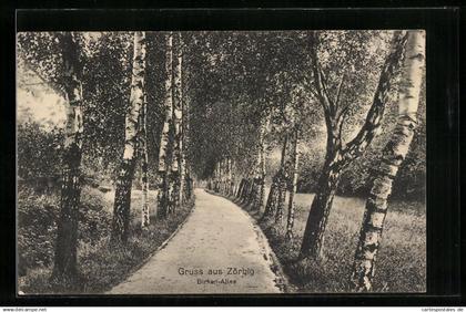 AK Zörbig, Birken-Allee mit Wiesenstück