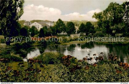 73694637 Zweibruecken Pfalz Rosengarten am grossen Weiher Schwaene Zweibruecken