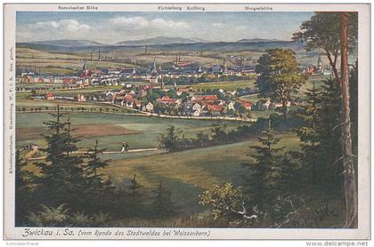 Litho AK Zwickau vom Rande des Stadtwaldes Stadtwald Park bei Weissenborn Königswalde Marienthal Brand Sorge