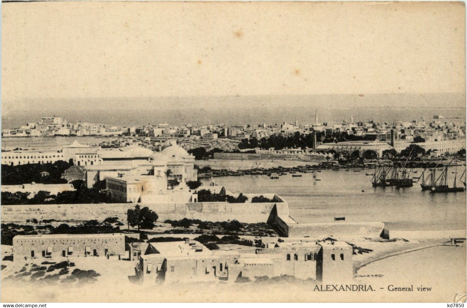 Alexandria - General view