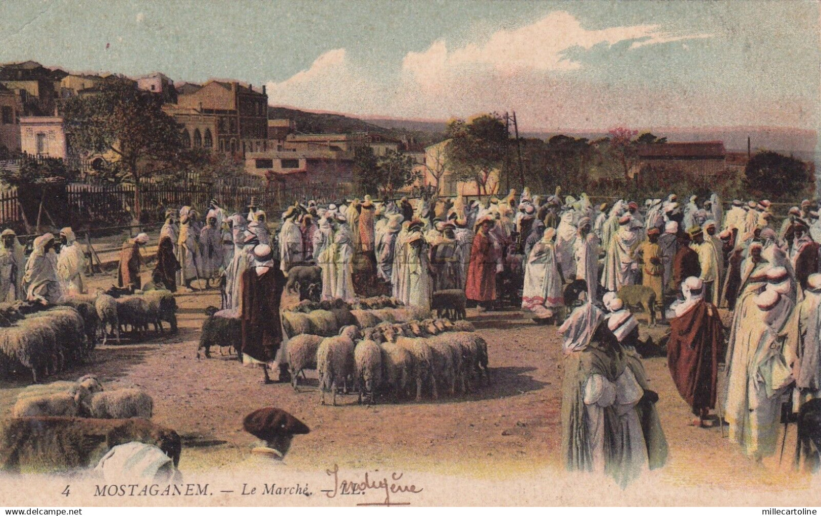 ALGERIA - Mostaganem - Le Marché