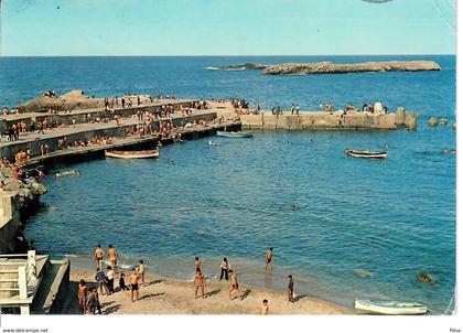 CARTOLINA ALGERIA 1980 - SPIAGGIA DI ALGERI - VIAGGIATA DA ALGERI ALL'ITALIA(TRIESTE)