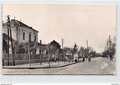 Algérie - DJELFA - Hôtel de Ville - Ed. Photo-Africaines 23