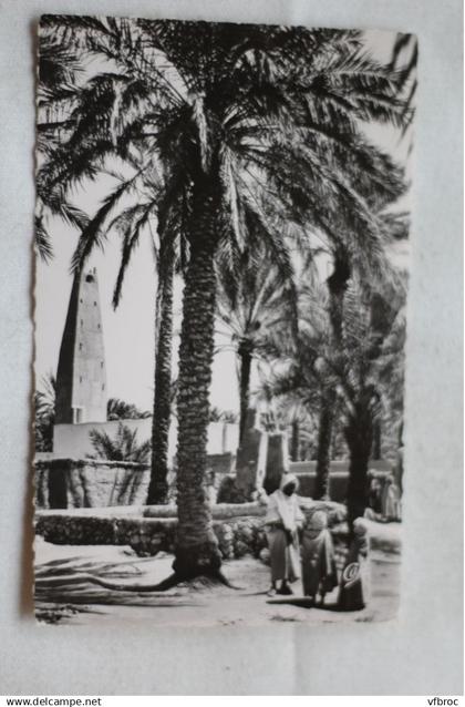 Cpsm, Ghardaia, paysage dans l'oasis, Algérie