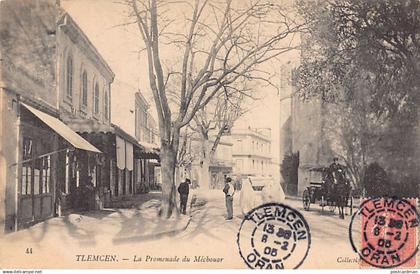 TLEMCEN - La Promenade du Méchouar.