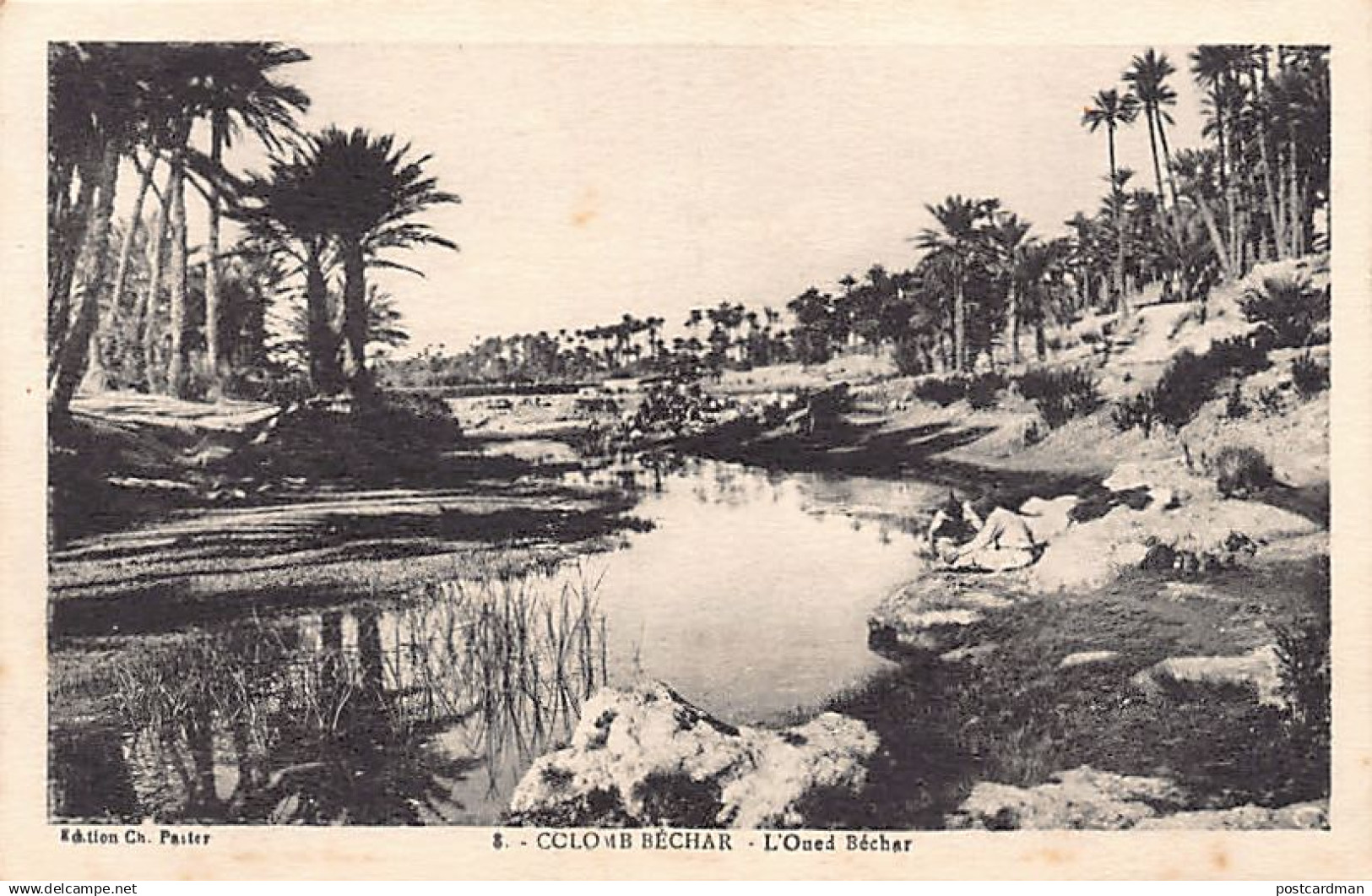 Algérie - COLOMB BÉCHAR - L'Oued Béchar - Ed. Ch. Pastor 8