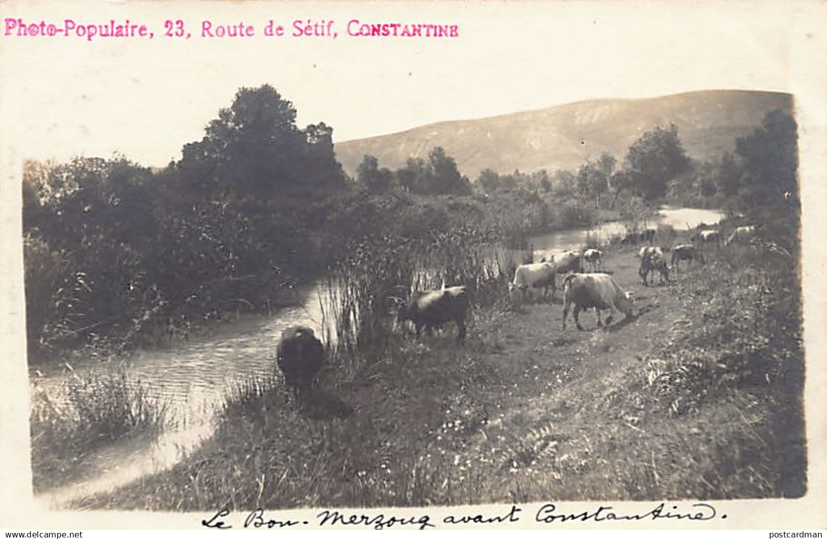 Algérie - CONSTANTINE - Le Bou-Merzoug avant Constantine - CARTE PHOTO - Ed. Pho