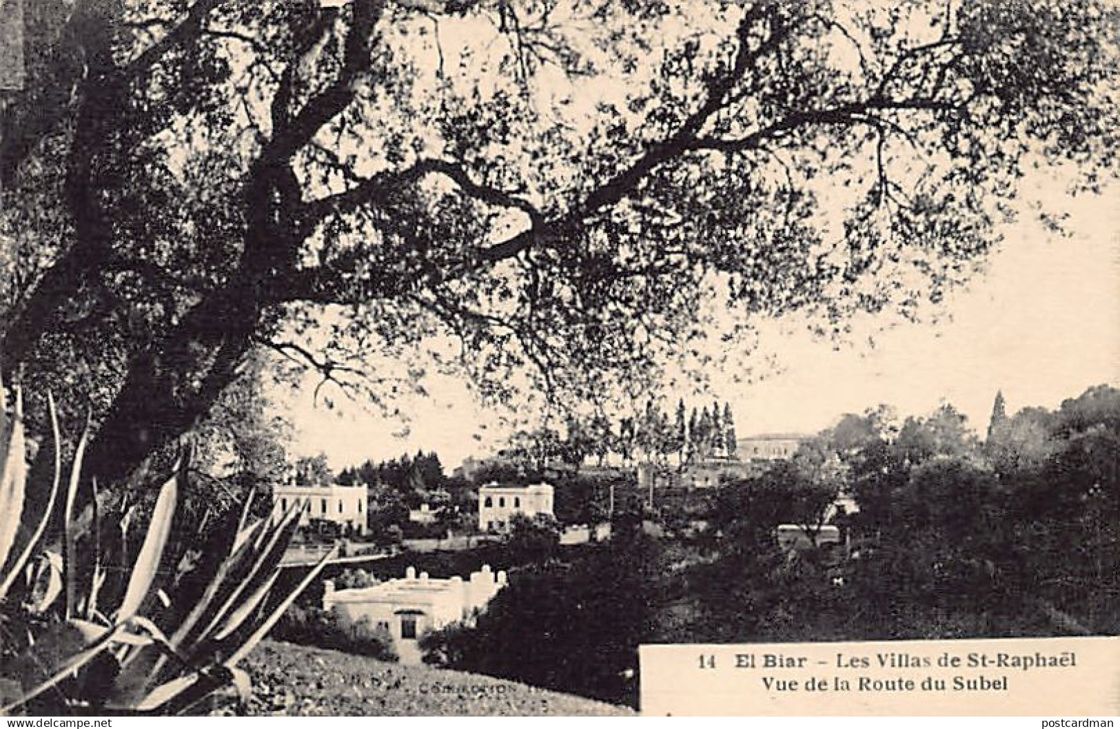 Algérie - EL BIAR - Les villas de Saint-Raphaël - Vue de la route du Subel - Ed. Collection Idéale P.S. 14