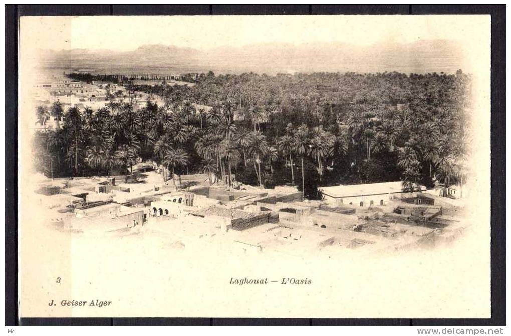 Algérie - Laghouat - L'Oasis - Vue générale