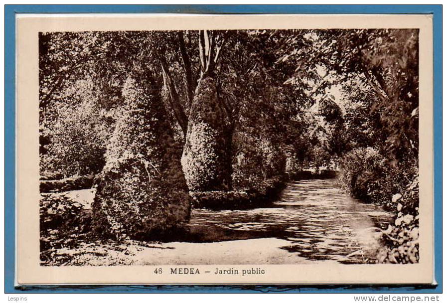 ALGERIE -- Médéa -- Jardin Public