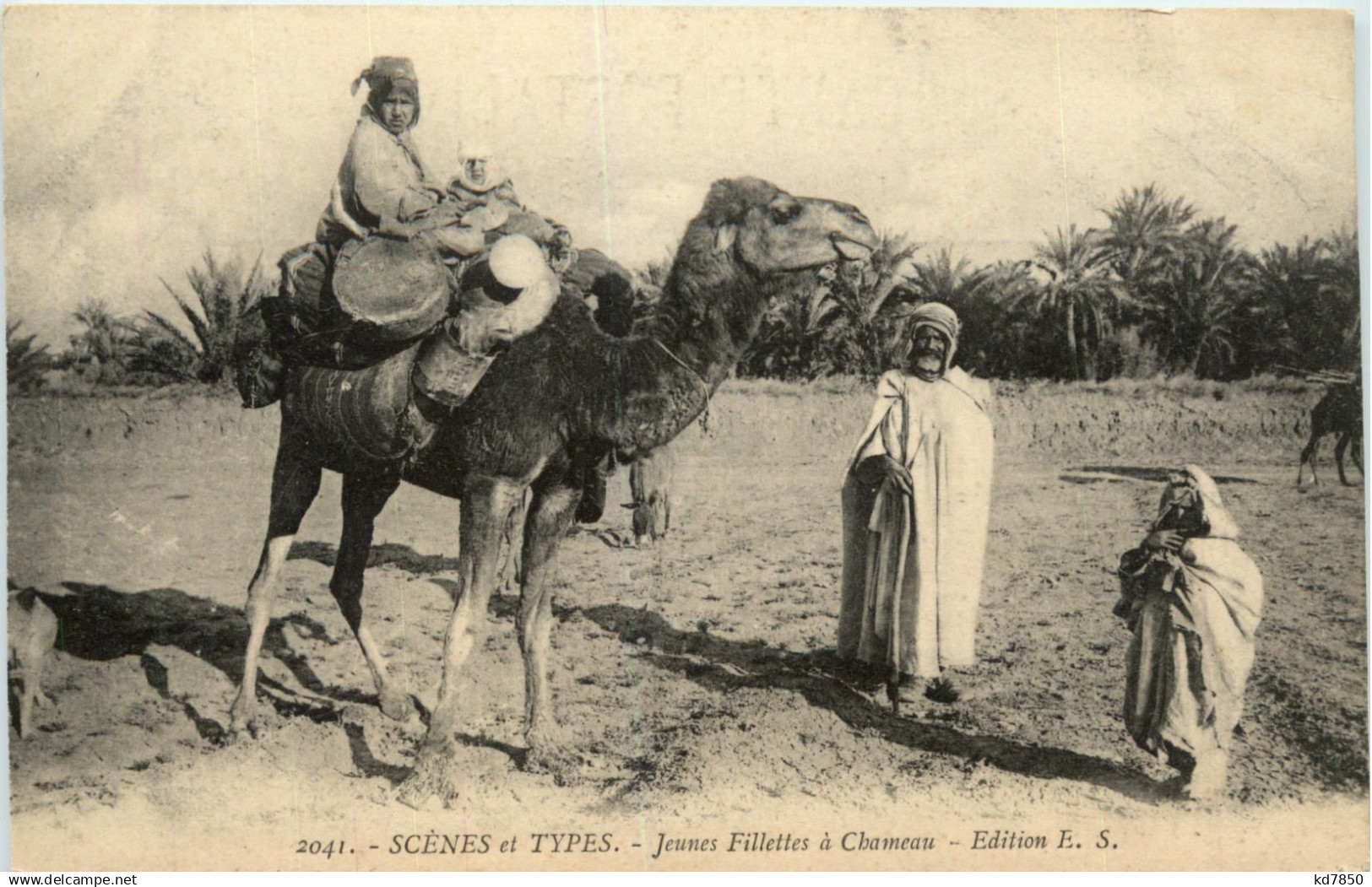 Algerie - Scenes et Types