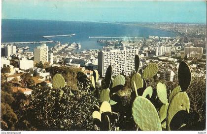 Algérie - Alger - Panorama